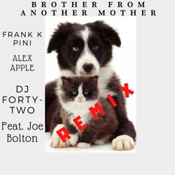 Brother from Another Mother (feat. Joe Bolton) [Remix]
