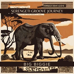 Serengeti Groove Journey