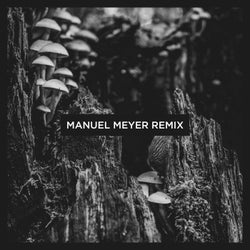 Kepler (Manuel Meyer Remix)