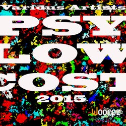 Psy Low Cost 2015