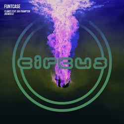 Flames (Remixes)