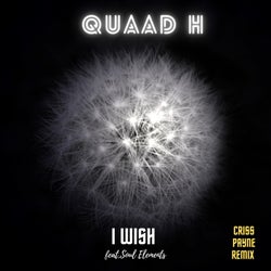 I Wish (feat. Soul Elements) [Criss Payne Remix]