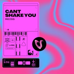 Can't Shake You