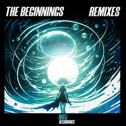 The Beginnings Remixes