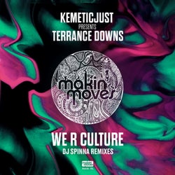 We R Culture (DJ Spinna Remixes) [feat. Terrance Downs]