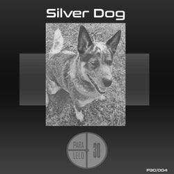 Silver Dog