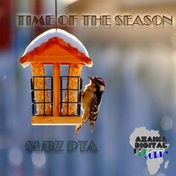 Time Of The Season (Soulful Mix)