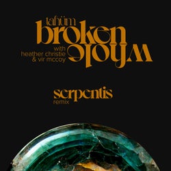 Broken Whole (Serpentis Remix)