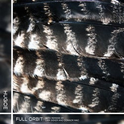 Full Orbit (Remixes)