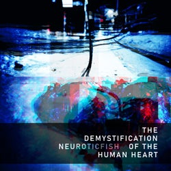 The Demystification Of The Human Heart