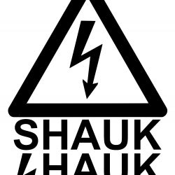 Shauk's Chart