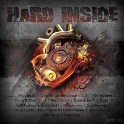 Hard Inside 3