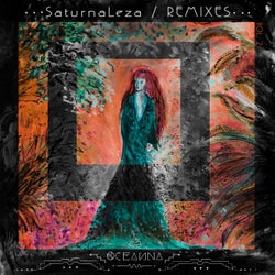 Saturnaleza Remixes, Vol. 2