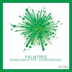Palmtree(Schwarz & Funk Remix)