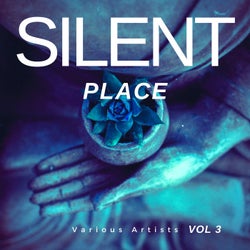 Silent Place, Vol. 3