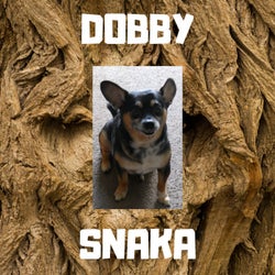 Dobby - Snaka