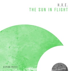 The Sun In Flight
