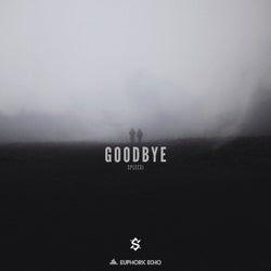 Goodbye