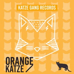 Orange Katze