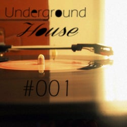 Underground House #001