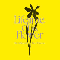 Lifetime of a Flower