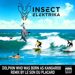 Dolphin Who Was Born as Kangaroo