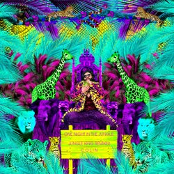 One Night In The Jungle