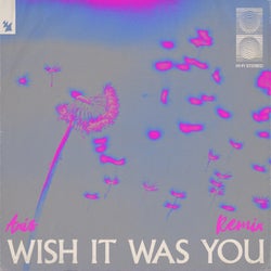Wish It Was You - Axis Remix