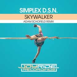 Skywalker (Adam Schofield Remix)