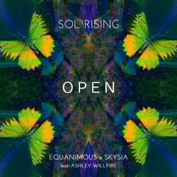 Open (feat. Ashley Willfire) [Sol Rising Remix]