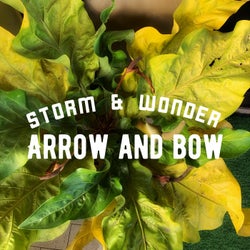 Arrow and Bow