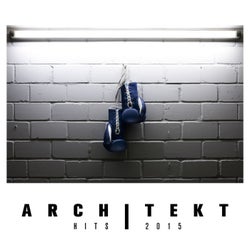 Architekt Hits 2015