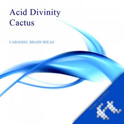 Acid Divinity