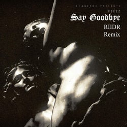 Say Goodbye (RIIDR Remix)