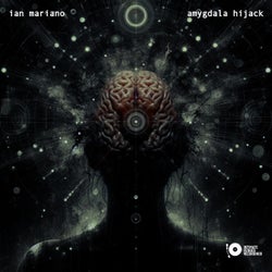 amygdala hijack