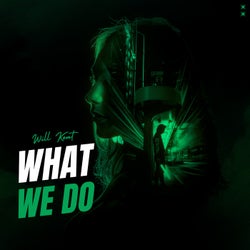 What We Do