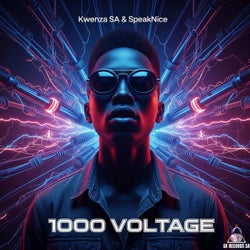 1000 Voltage