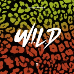 W.I.L.D (Extended Mix)