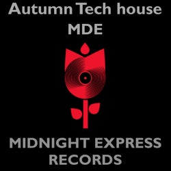 Autumn Tech house