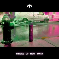 Tribes of New York