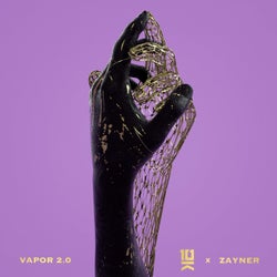 Vapor 2.0 (feat. ZAYNER)