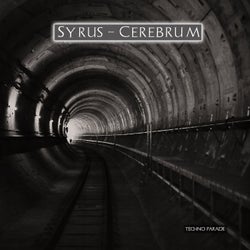 Cerebrum