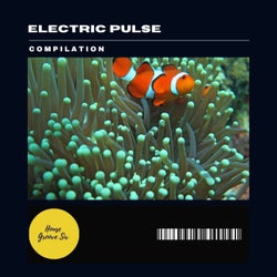 Electric Pulse