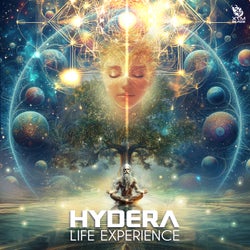 Life Experience