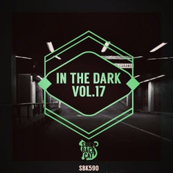 In the Dark, Vol. 17