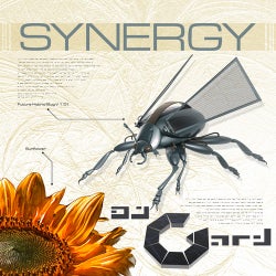 DJ Gard Presents Synergy Volume 1