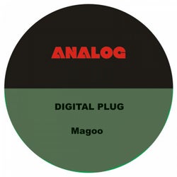 Digital Plug