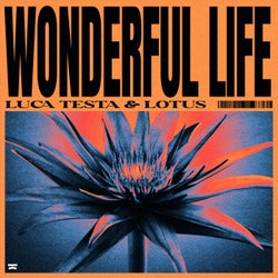 Wonderful Life (Extended Mix)