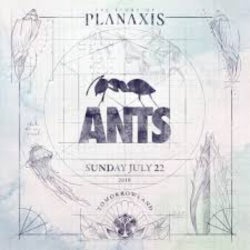 ROAD TO TOMORROWLAND 2018: ANTS PART II