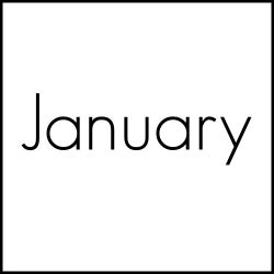 Andi Lehner's Beatport Charts - January